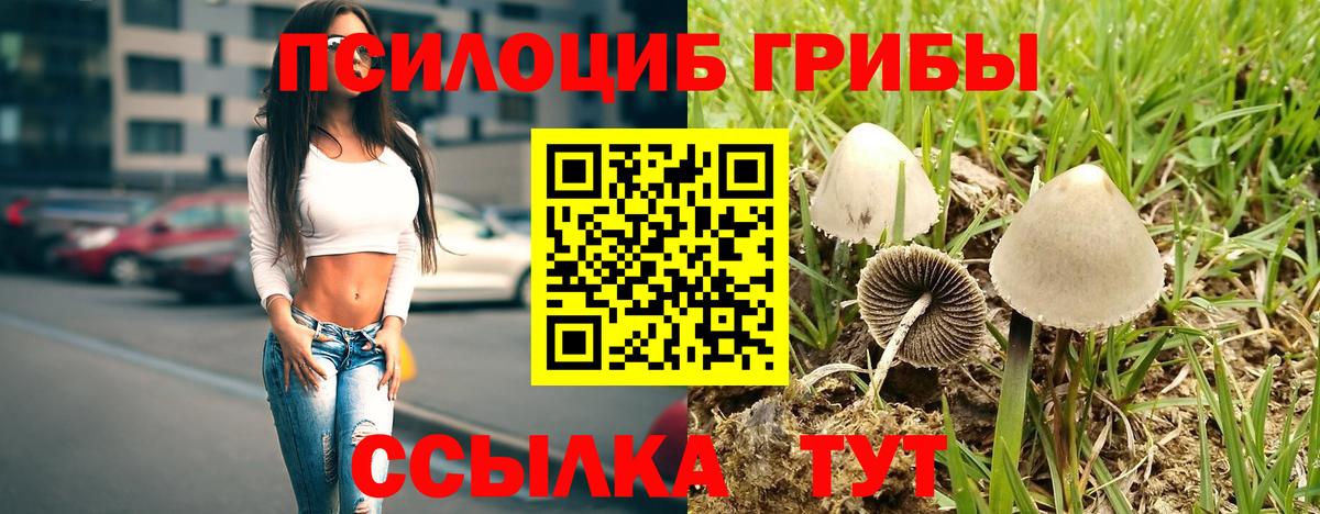 Псилоцибиновые грибы мицелий  Галлюциногенные грибы Psilocybe  Вход с VPN  наркотики  Тула 