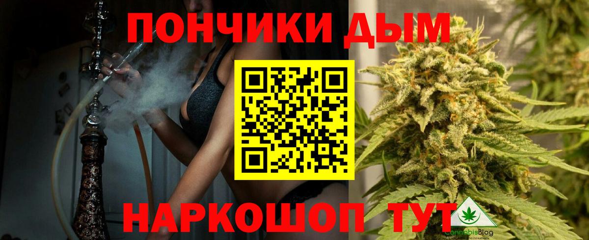 Каннабис ГИДРОПОН  Марихуана OG Kush  Вход с VPN  Канабис Bruce Banner  Тула 